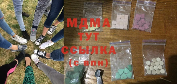 индика Арсеньев