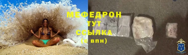индика Арсеньев