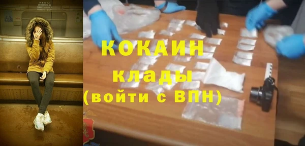 индика Арсеньев