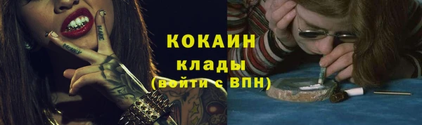 индика Арсеньев