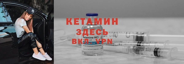 индика Арсеньев