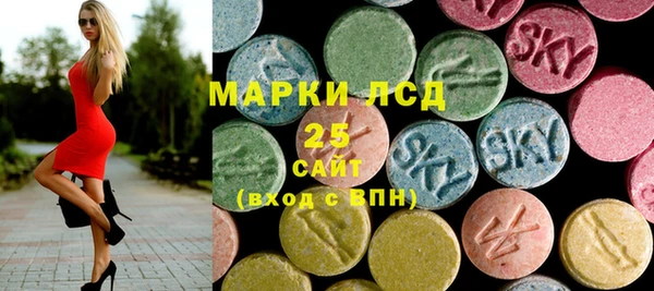 индика Арсеньев