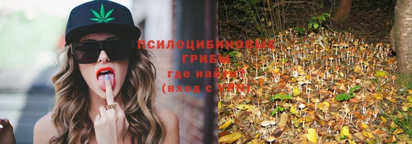 индика Арсеньев