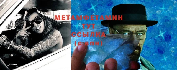 индика Арсеньев