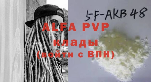 индика Арсеньев