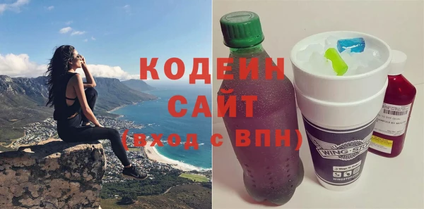 индика Арсеньев